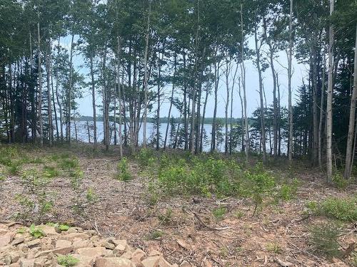 Lot 2 North Shore Road, East Wallace, NS 