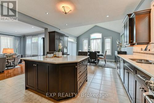 317 Sienna Crescent, Kitchener, ON - Indoor Photo Showing Kitchen With Double Sink