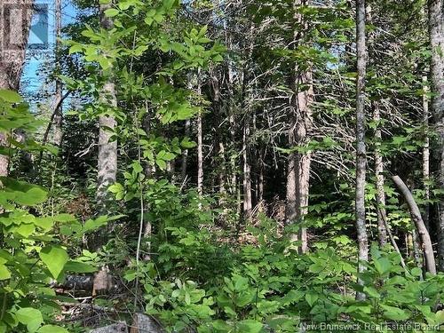 Vacant Lot G Ewart Hyde Road, Lake George, NB 