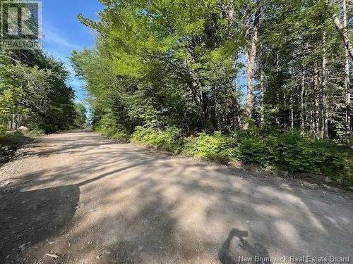 Vacant Lot G Ewart Hyde Road, Lake George, NB 