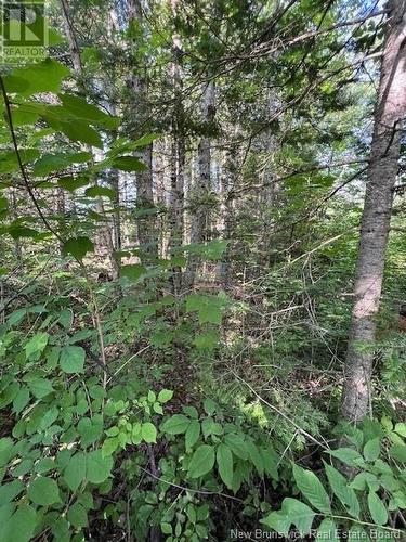 Vacant Lot G Ewart Hyde Road, Lake George, NB 