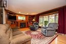 690 Post Road, Kawartha Lakes, ON  - Indoor Photo Showing Living Room With Fireplace 