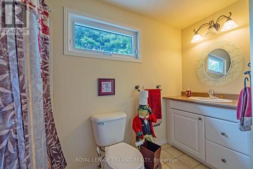 20 Omemee Street N, St. Thomas (Nw), ON - Indoor Photo Showing Bathroom