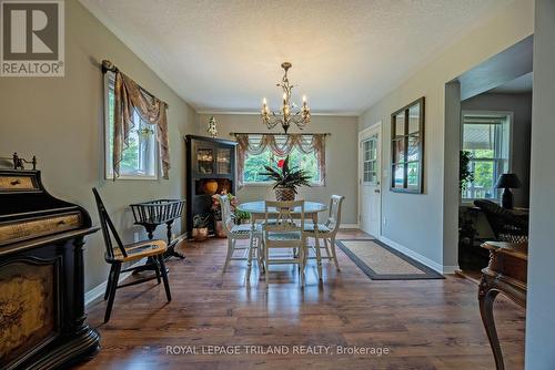 20 Omemee Street N, St. Thomas (Nw), ON - Indoor Photo Showing Dining Room With Fireplace