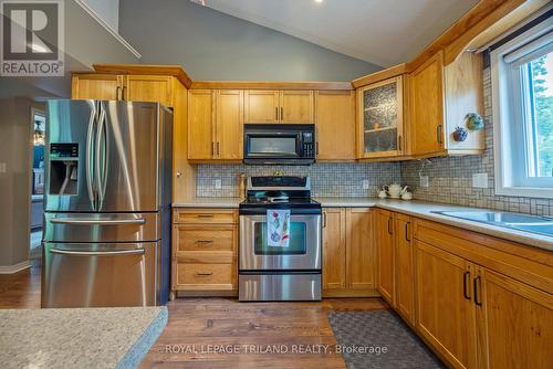 20 Omemee Street N, St. Thomas (Nw), ON - Indoor Photo Showing Kitchen