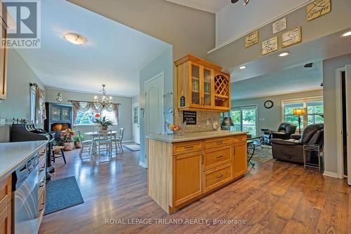 20 Omemee Street N, St. Thomas (Nw), ON - Indoor Photo Showing Kitchen