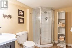 Lower Level 3 Pc Bathroom - 