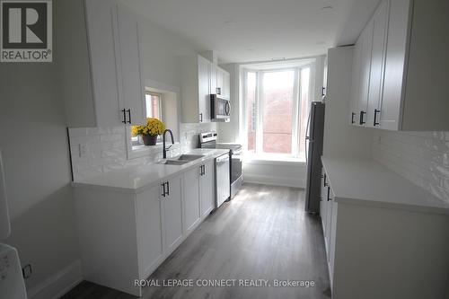 55 Cayuga Street, Brantford, ON - Indoor Photo Showing Kitchen With Double Sink