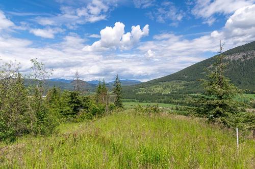 Planned Lot 1 Tappen Notch Hill Road, Tappen, BC 