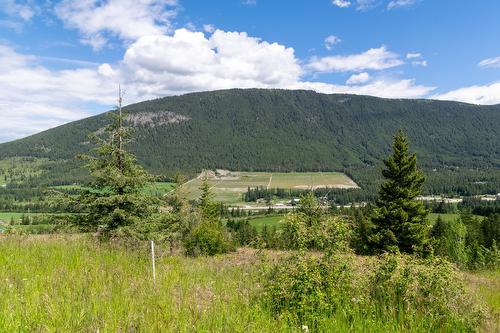 Planned Lot 1 Tappen Notch Hill Road, Tappen, BC 