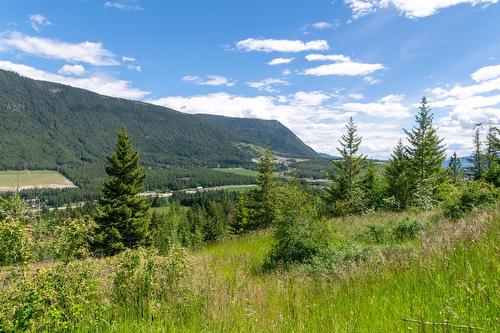 Planned Lot 1 Tappen Notch Hill Road, Tappen, BC 