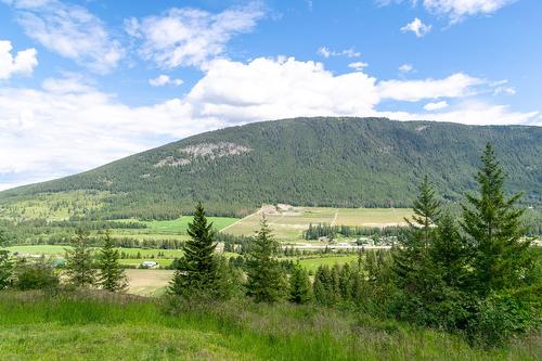 Planned Lot 1 Tappen Notch Hill Road, Tappen, BC 