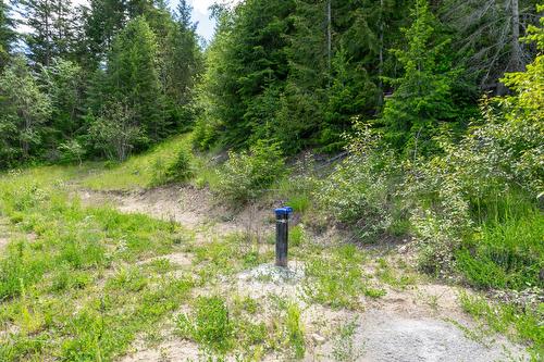 Planned Lot 1 Tappen Notch Hill Road, Tappen, BC 