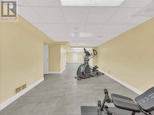 455 Orchard Park Drive, Lakeshore, ON - Indoor Photo Showing Gym Room