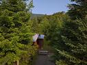 Photo aÃ©rienne - 7 Ch. Des Sources, Saint-Donat, QC  - Outdoor With View 