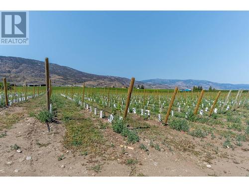 8901 92Nd Avenue, Osoyoos, BC - Outdoor With View