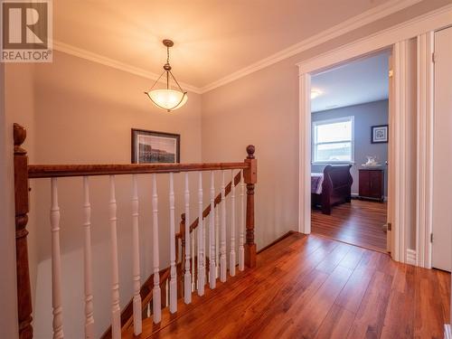 59 Great Eastern Avenue, St. John'S, NL - Indoor Photo Showing Other Room