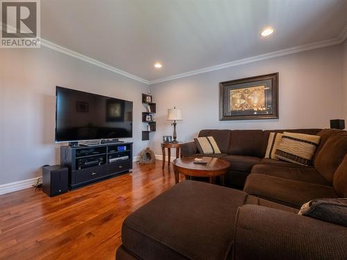 59 Great Eastern Avenue, St. John'S, NL - Indoor Photo Showing Living Room