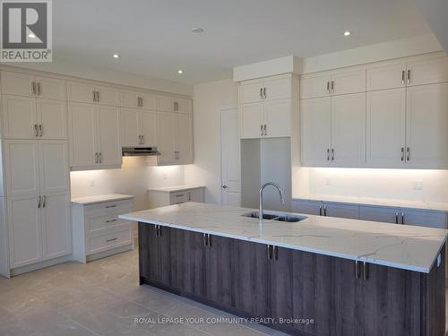 8 Lorrain Hand Crescent, Georgina, ON - Indoor Photo Showing Kitchen With Double Sink With Upgraded Kitchen