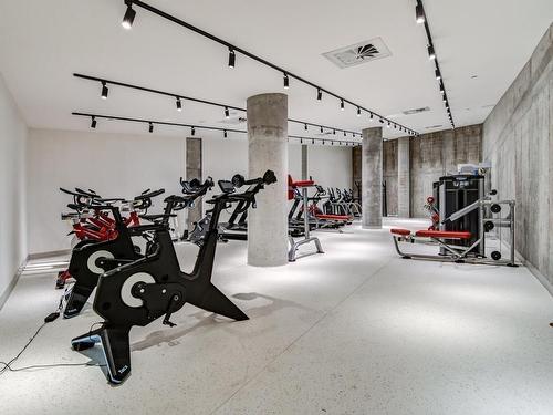 Exercise room - 527-1550 Rue Des Bassins, Montréal (Le Sud-Ouest), QC - Indoor Photo Showing Gym Room