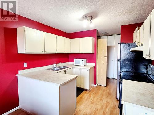 302 307 Tait Crescent, Saskatoon, SK - Indoor Photo Showing Kitchen With Double Sink