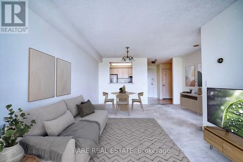 705 - 2628 Mccowan Road, Toronto (Agincourt North), ON - Indoor Photo Showing Living Room