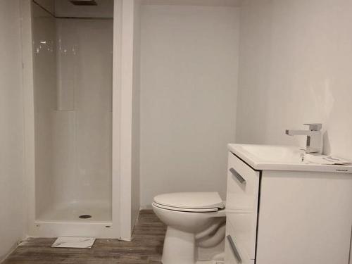 Salle de bains - 121 Rue Nadon, Laval (Sainte-Rose), QC - Indoor Photo Showing Bathroom