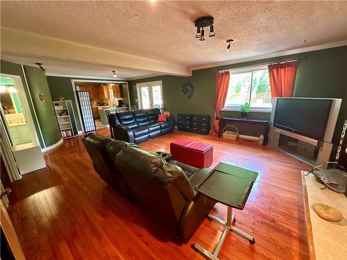 Lower 3rd level dining room and family room with cozy wood burning fire place and a walk out to your back yard oasis perfect for entertaining or just relaxing - 16 Flamingo Drive, Hamilton, ON - Indoor Photo Showing Living Room With Fireplace