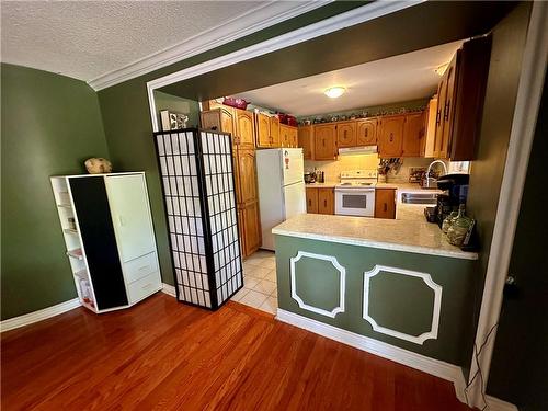 Lower 3rd level Kitchen with double sink and BI dishwasher - 16 Flamingo Drive, Hamilton, ON - Indoor Photo Showing Kitchen