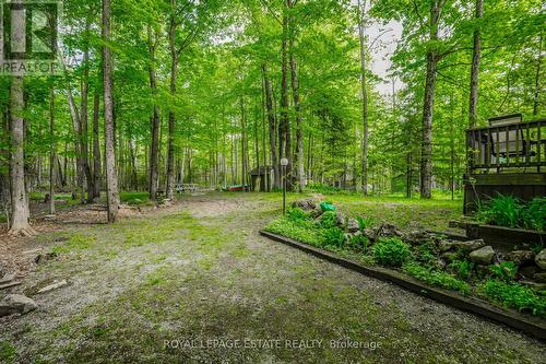 15 Cedar Trail, South Bruce Peninsula, ON - Outdoor