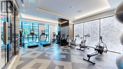 806 - 455 Wellington Street W, Toronto (Waterfront Communities), ON - Indoor Photo Showing Gym Room