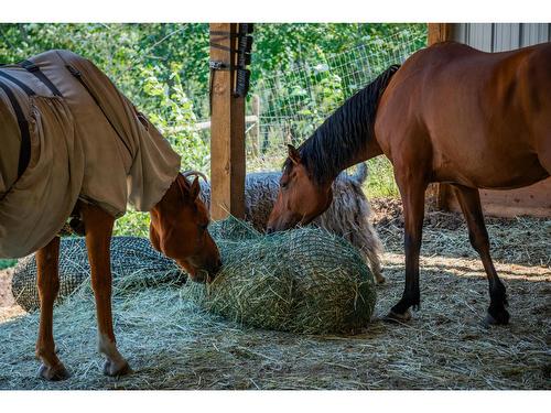 2715 Highway 3B, Rossland, BC - Outdoor