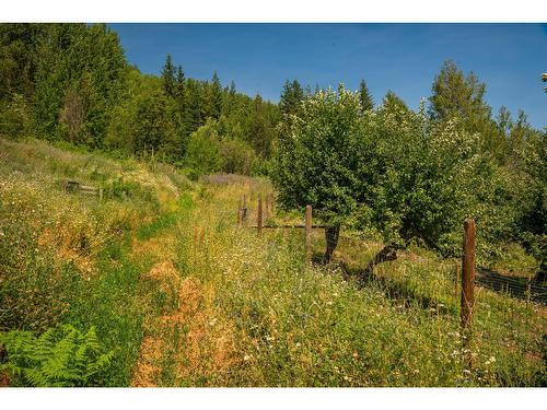 2715 Highway 3B, Rossland, BC - Outdoor With View