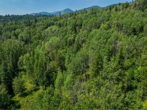 2715 Highway 3B, Rossland, BC - Outdoor With View