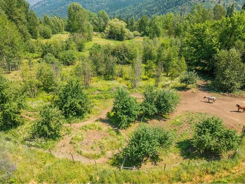 2715 Highway 3B, Rossland, BC - Outdoor With View