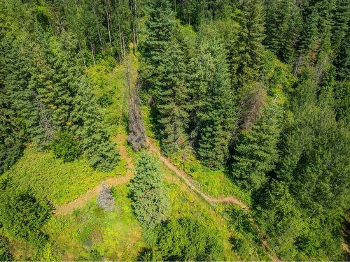 2715 Highway 3B, Rossland, BC - Outdoor