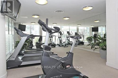 2008 - 225 Webb Drive, Mississauga (City Centre), ON - Indoor Photo Showing Gym Room