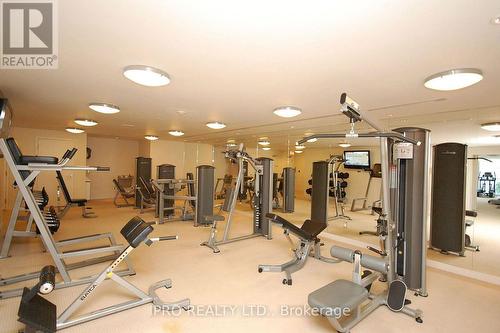 2008 - 225 Webb Drive, Mississauga (City Centre), ON - Indoor Photo Showing Gym Room