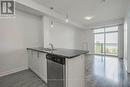 232 - 35 Southshore Crescent, Hamilton (Stoney Creek), ON  - Indoor Photo Showing Kitchen With Double Sink 