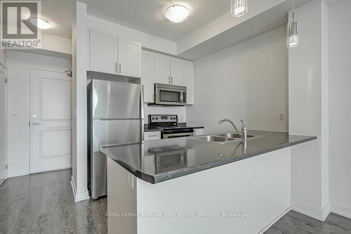 232 - 35 Southshore Crescent, Hamilton (Stoney Creek), ON - Indoor Photo Showing Kitchen With Stainless Steel Kitchen With Double Sink