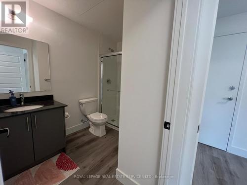 0212 - 1101 Lackner Boulevard, Kitchener, ON - Indoor Photo Showing Bathroom