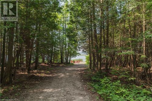 Access Path to Boat Lake - 15 Cedar Trail, South Bruce Peninsula, ON 