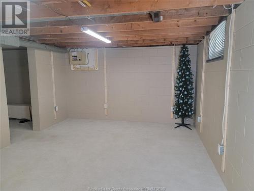 1290 Matthew Brady Boulevard, Windsor, ON - Indoor Photo Showing Basement