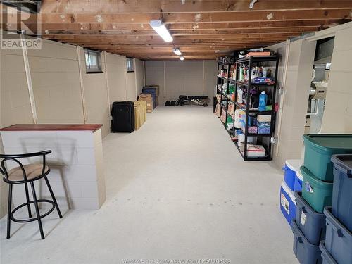 1290 Matthew Brady Boulevard, Windsor, ON - Indoor Photo Showing Basement