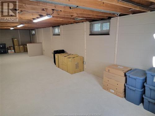 1290 Matthew Brady Boulevard, Windsor, ON - Indoor Photo Showing Basement