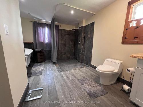 45 Bursthall St, Marmora And Lake, ON - Indoor Photo Showing Bathroom