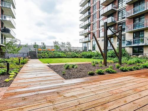 Jardin - 413-1320 Rue Olier, Montréal (Le Sud-Ouest), QC - Outdoor