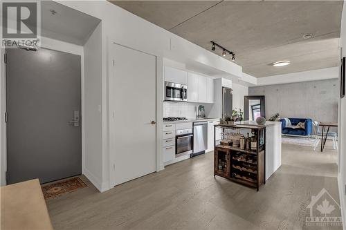 203 Catherine Street Unit#311, Ottawa, ON - Indoor Photo Showing Kitchen