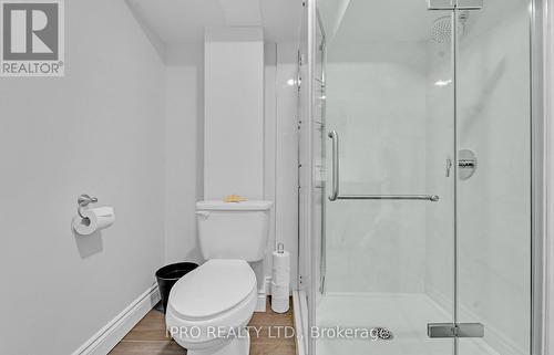 26 Silo Court, Brampton (Fletcher'S Creek Village), ON - Indoor Photo Showing Bathroom