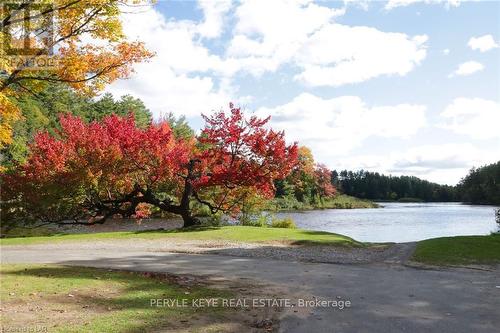 98 Clearwater Lake Road, Huntsville, ON - Outdoor With View